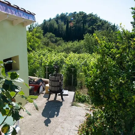 Traditional Grandpa's House Appartement
